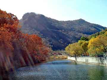 新澳门二四六天天彩，带电指示器